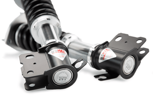Silver's NEOMAX Coilover Kit Acura Tl (Ua4/Ua5) 1998-2002 (if out of stock,Built to order: 2 week ETA)